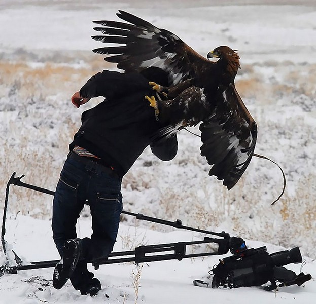 Crazy photographers who will do ANYTHING for the perfect shot